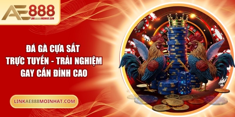 Đá Gà Cựa Sắt Trực Tuyến - Trải Nghiệm Gay Cấn Đỉnh Cao
